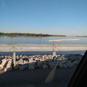 Meet your Posher, Netoya